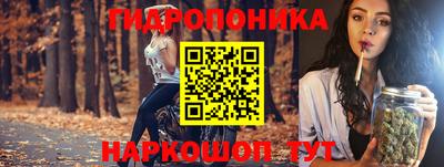 ешки Донецк